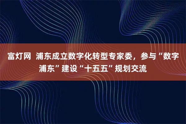 富灯网  浦东成立数字化转型专家委，参与“数字浦东”建设“十五五”规划交流