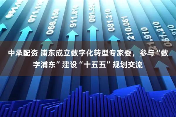 中承配资 浦东成立数字化转型专家委，参与“数字浦东”建设“十五五”规划交流