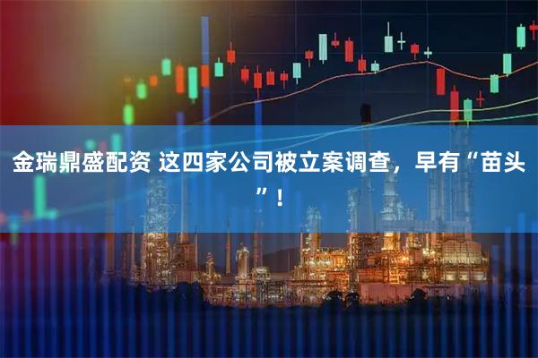 金瑞鼎盛配资 这四家公司被立案调查，早有“苗头”！
