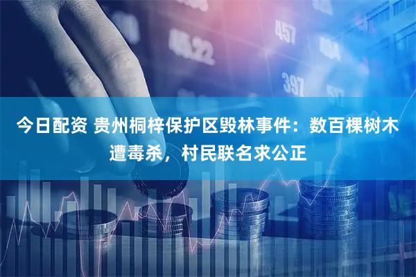 今日配资 贵州桐梓保护区毁林事件：数百棵树木遭毒杀，村民联名求公正