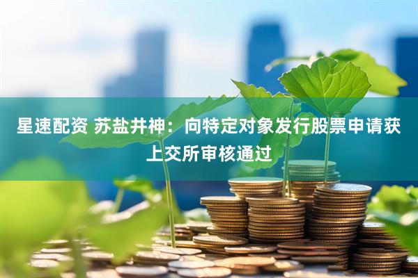 星速配资 苏盐井神：向特定对象发行股票申请获上交所审核通过